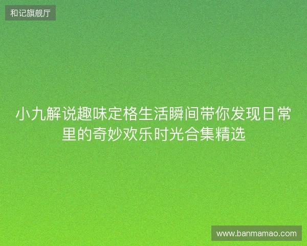 小九解说趣味定格生活瞬间带你发现日常里的奇妙欢乐时光合集精选